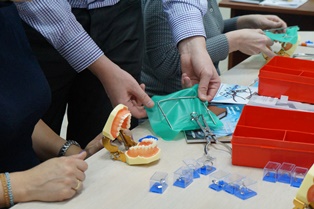 раббердам DSC04875.jpg