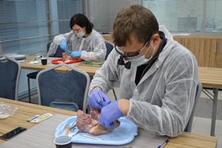 Регенеративная терапия медикал консалтинг